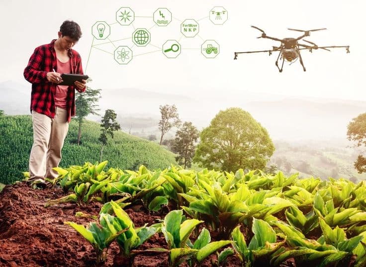 Perubahan Iklim dan Ketahanan Pangan: Dampak pada Gizi Generasi Mendatang